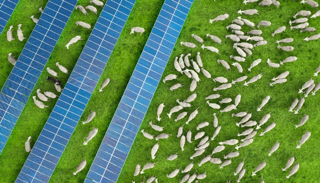 The-Multi-Benefits-of-Solar-PV-Plants-to-Their-Surrounding-Environment-Tile.jpg