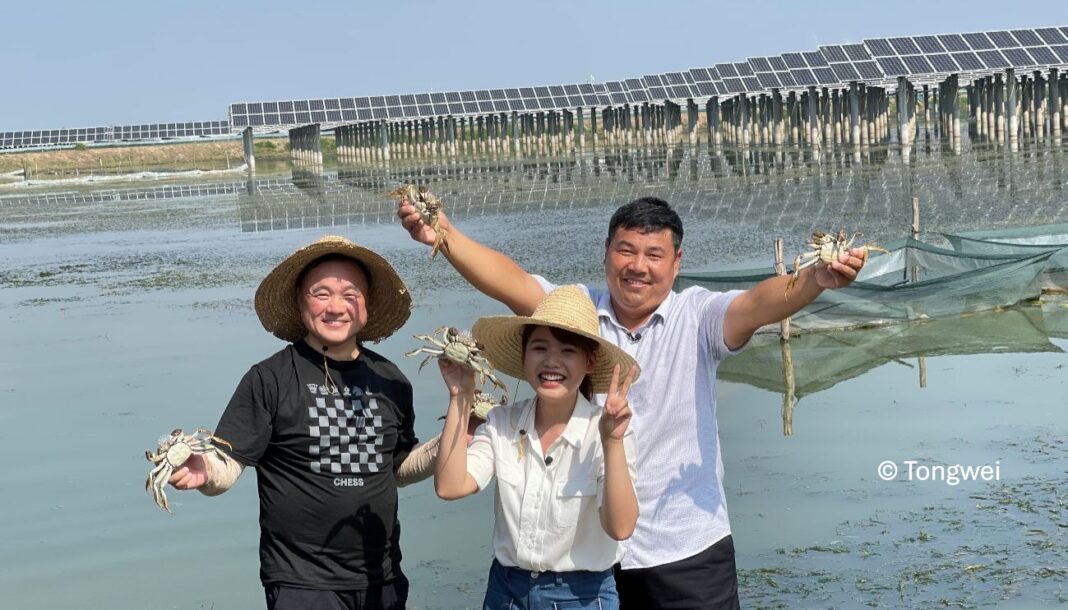 Solar-Powered-Aquaculture-Brings-Business-and-Clear-Sky-to-Rural-China-Tile.jpg